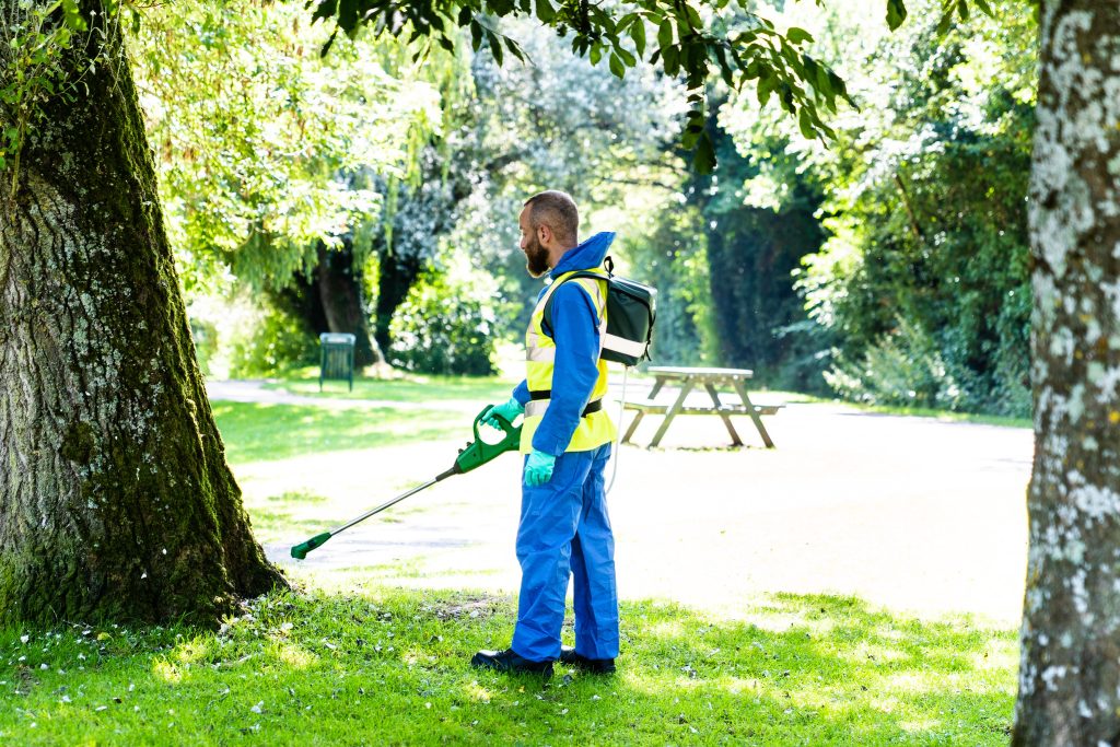 Stump Control