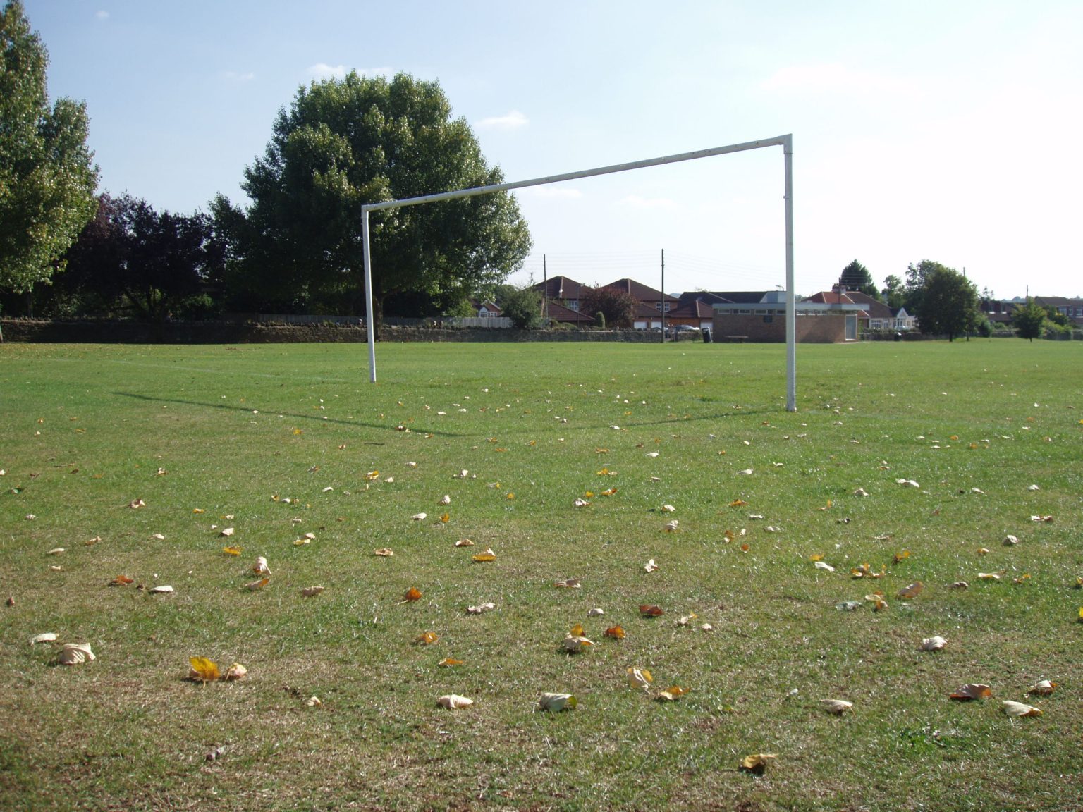 Our Guide To Controlling Weeds With Herbicides In Amenity Areas Nomix 